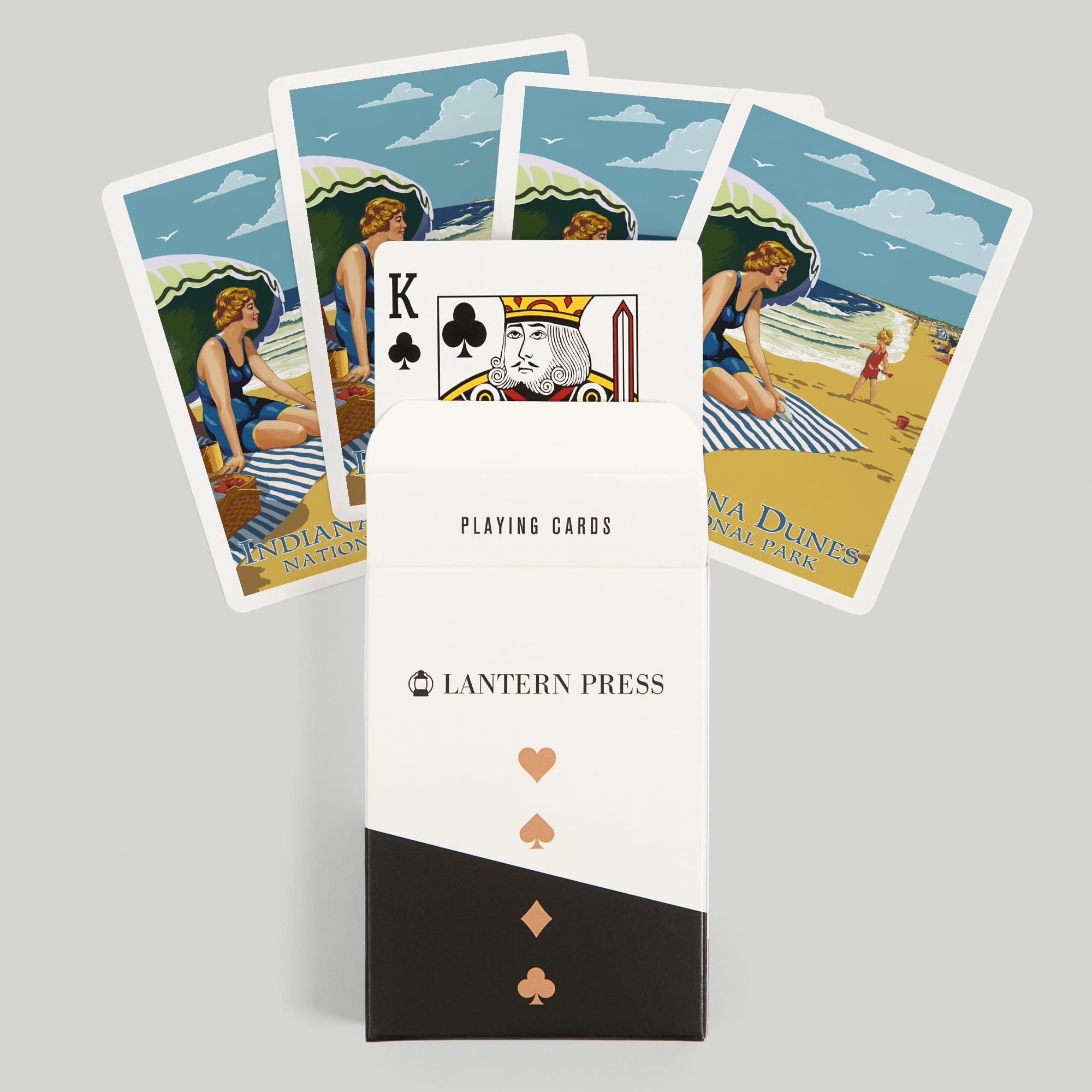 Amazon.com: Lantern Press Indiana Dunes National Park, Indiana