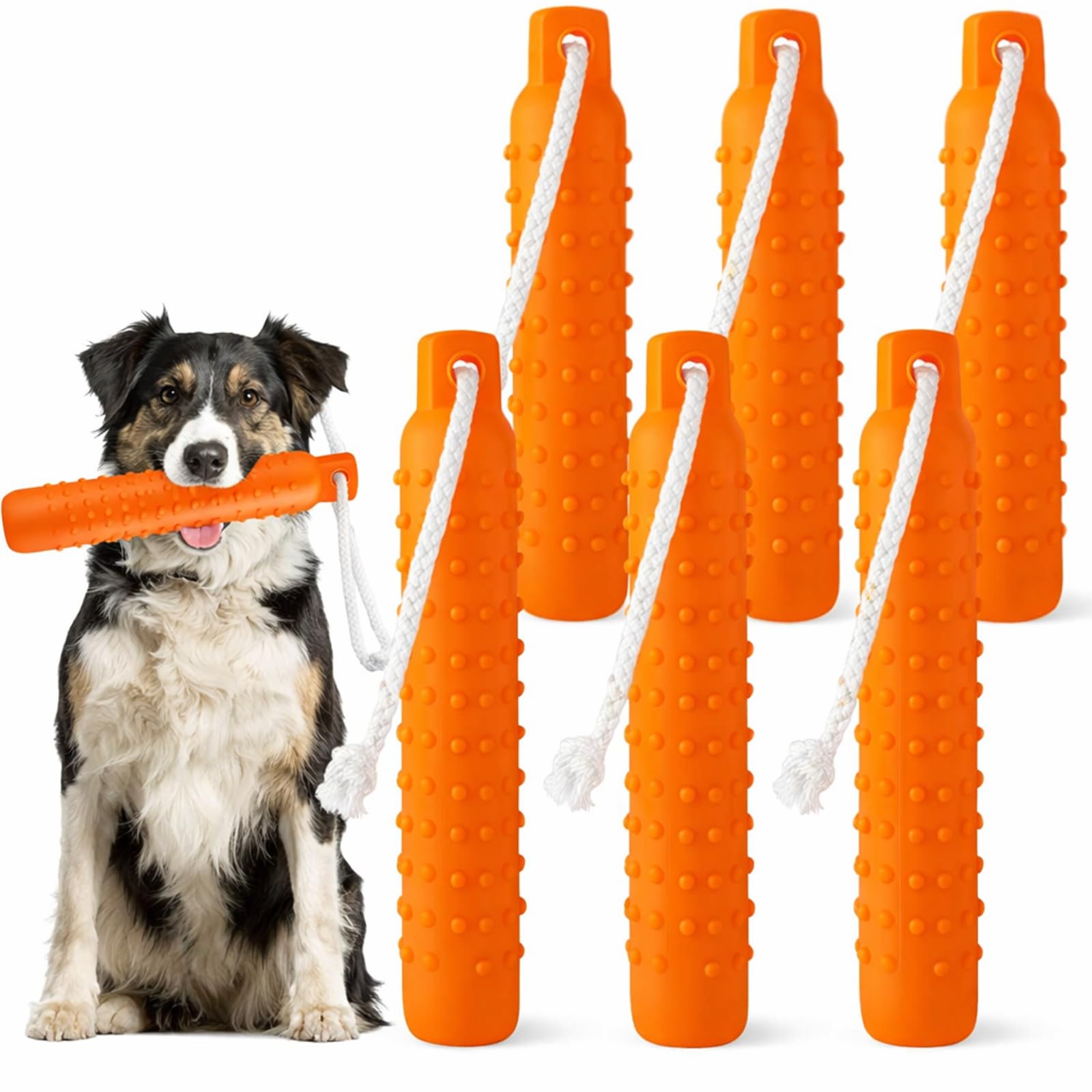 Blueweenly 6 piezas de juguete flotante para perros, juguetes para entrenamiento de agua, juguetes para exteriores de 11 x 2 pulgadas, ligero para flotar en la piscina de agua para perros pequeños