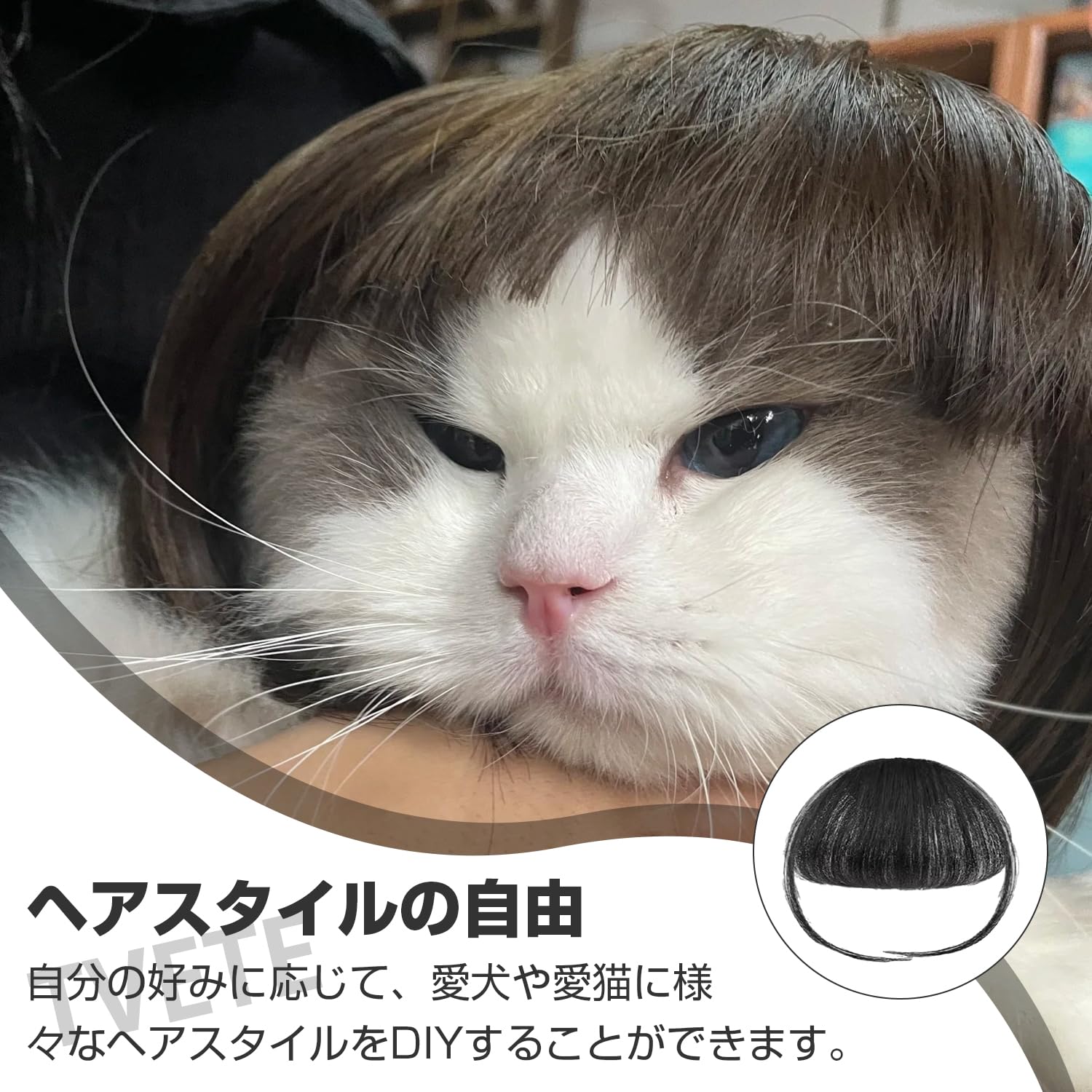 Amazon | TVETE ペットウィッグ 猫の前髪 面白い 変装グッズ ペット服