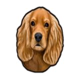 Flying Leaf Games, Inc.