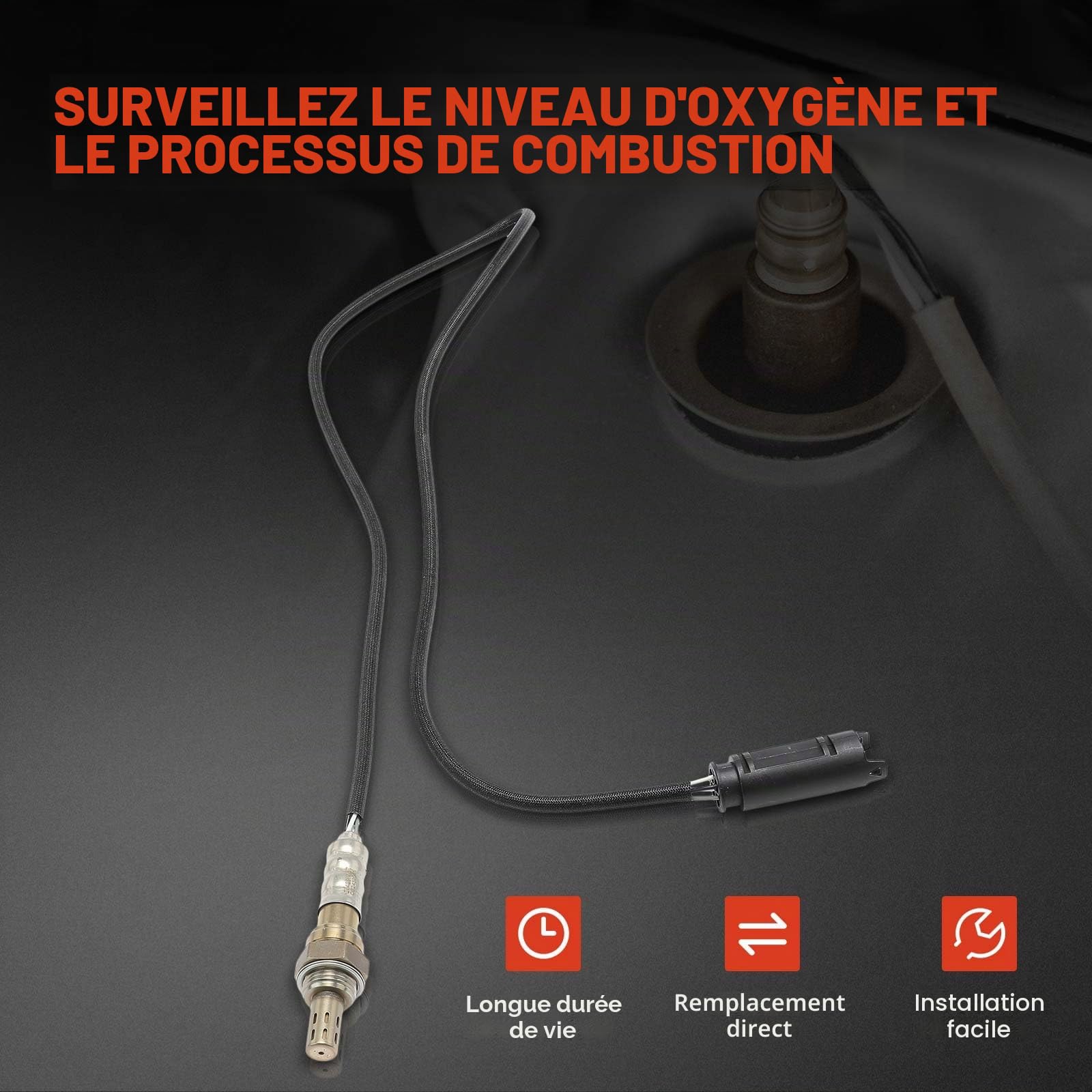 Frankberg Sonde lambda avantaprès catalyseur 11781433940