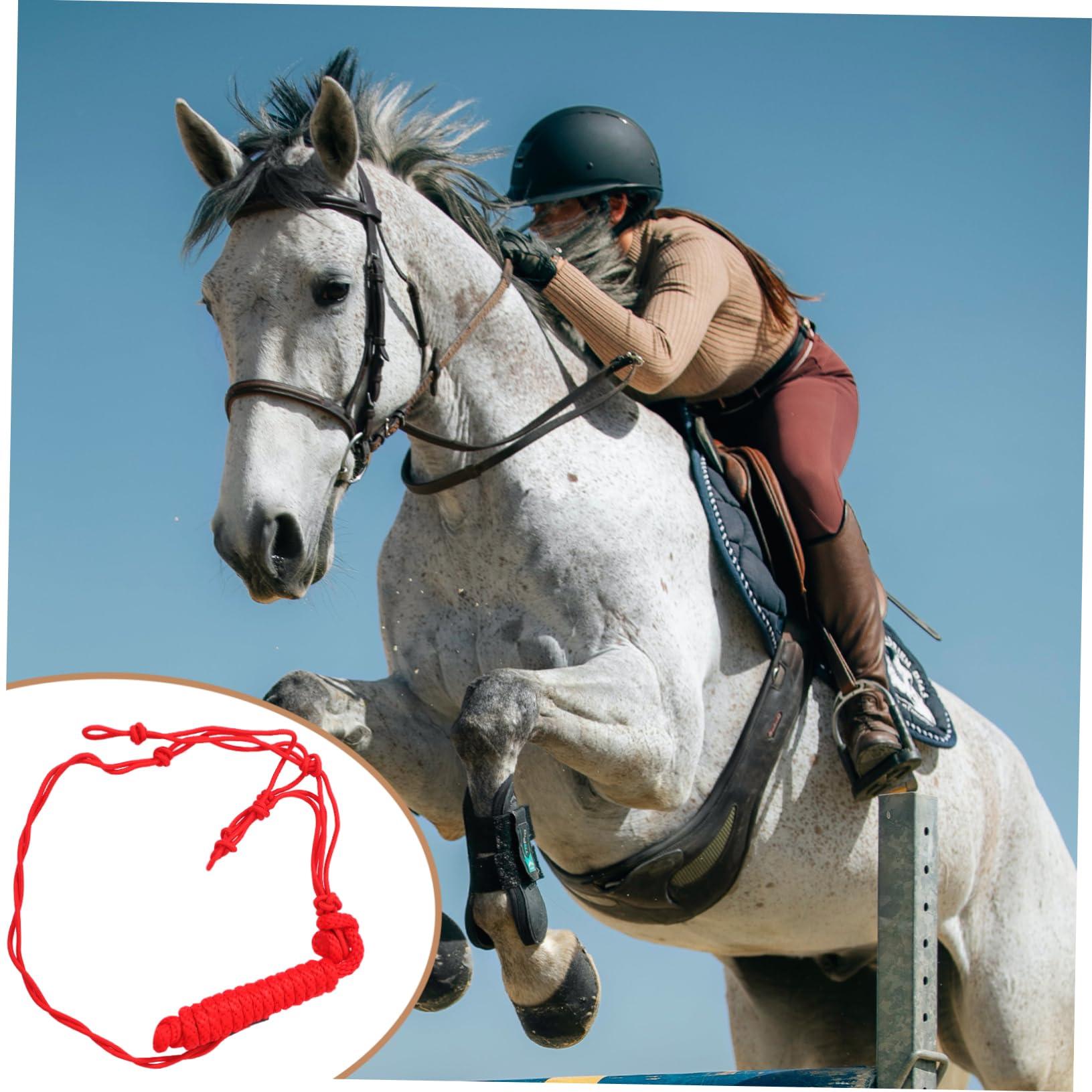 Cabestro Collar Cuerda de Poliéster Caballos de Rojo | Entrenamiento Ecuestre, Ajuste Cómodo Cabeza, Resistente al Desgaste y Fácil de Guardar