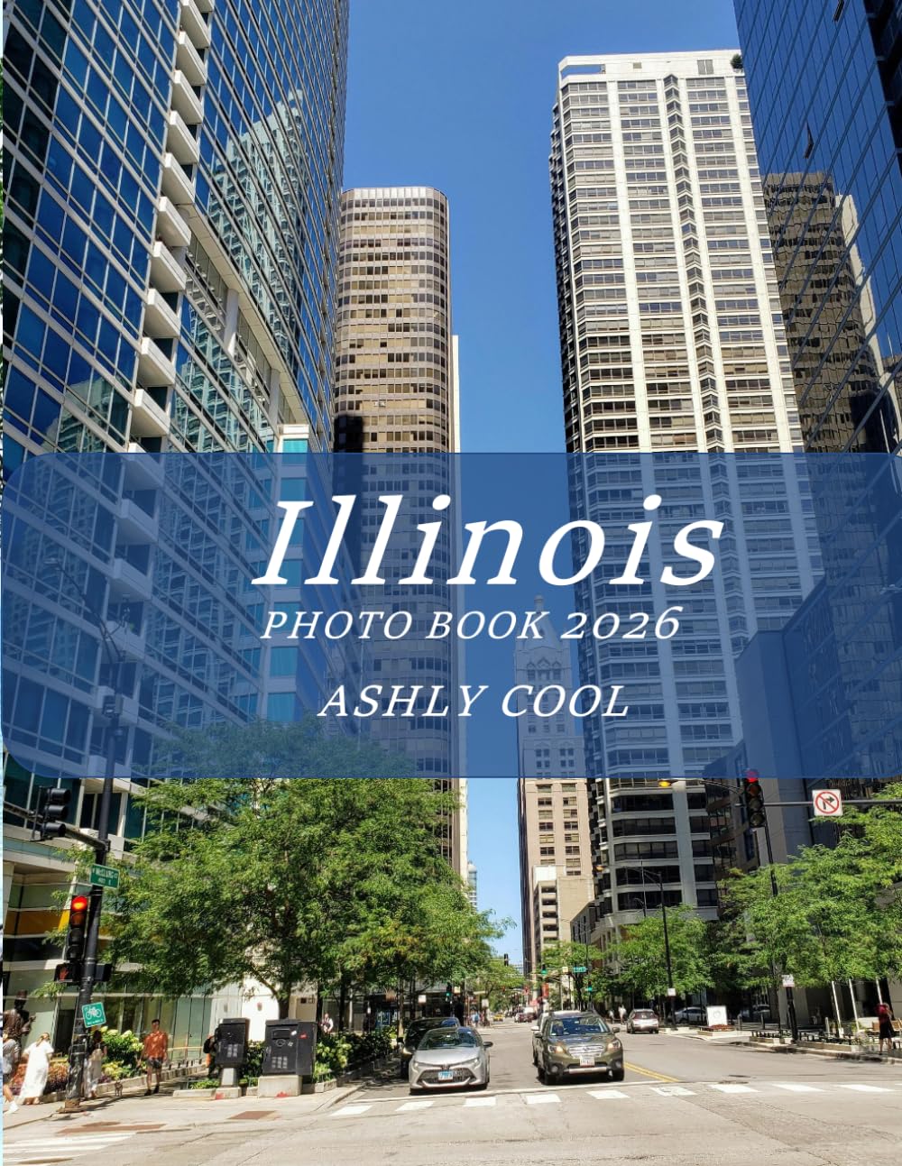 Illinois: Cool Pictures That Create An Idea For You About - Perfect Gift for tourism & travel lovers.....Relaxing & Meditation.