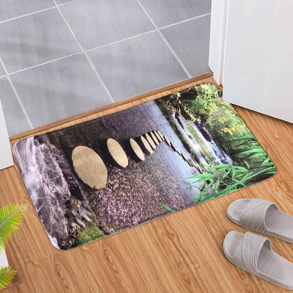 Alfombra de baño Antideslizante |Nature - Inspired Pattern Floor Carpet for Home/Kitchen/Laundry Room |Felpudo Absorbente de Agua, Lavable a máquina. (50 * 80)