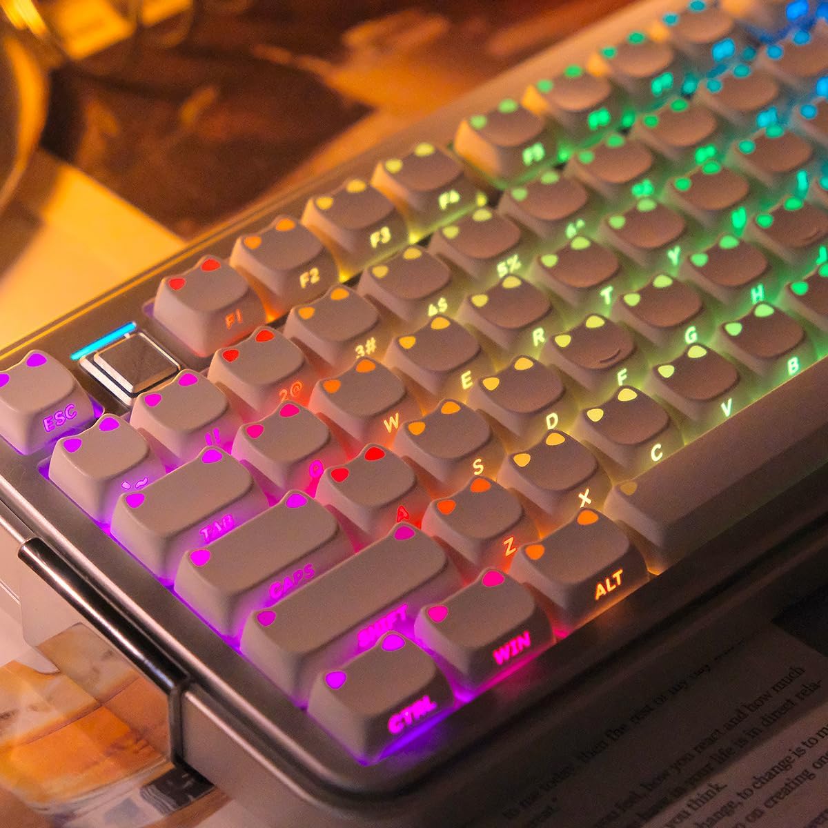 Side Print Cat Keycaps, MAO Profile PBT Shine Through Keycaps Set, 113 Keys