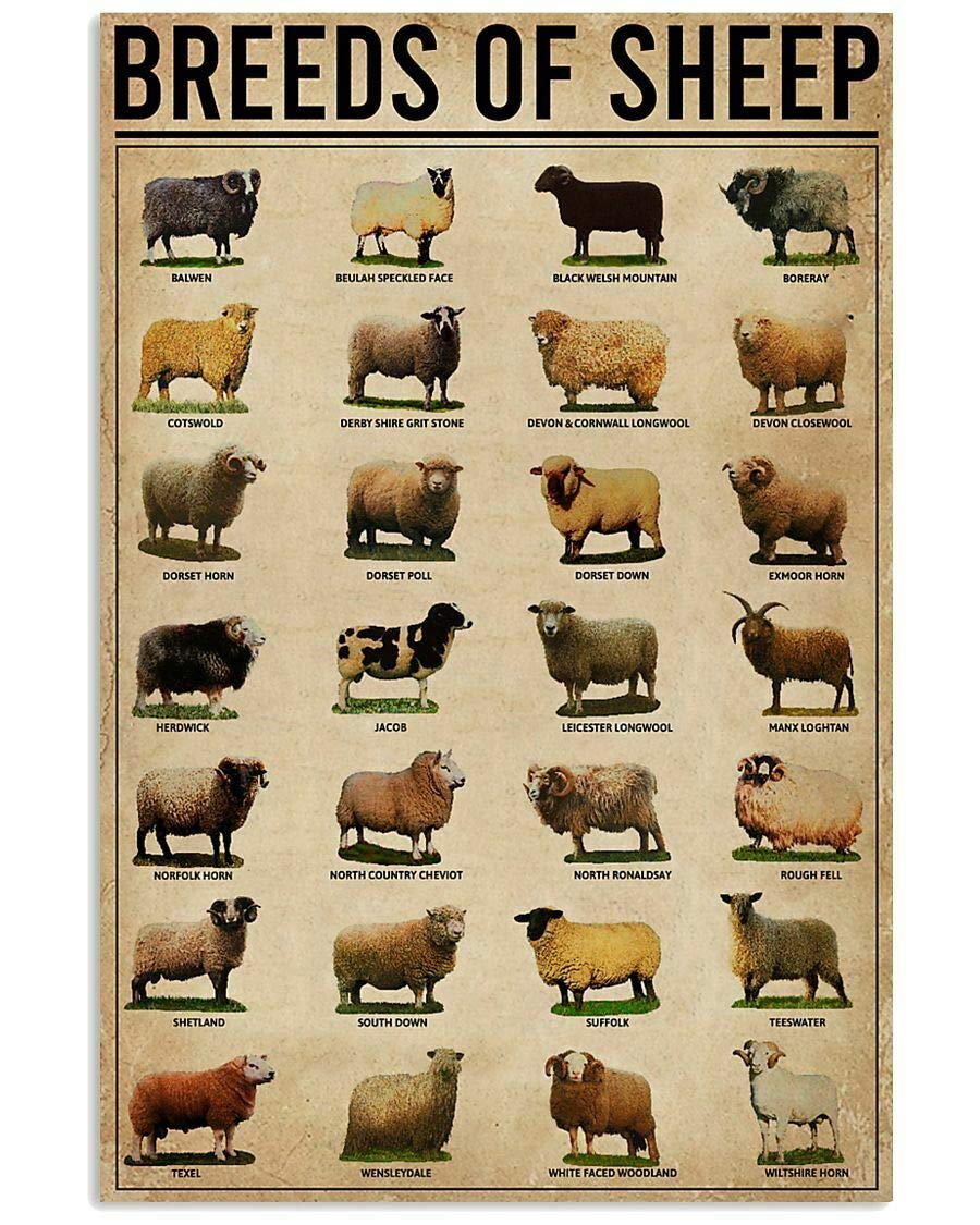 Azolid Style11 Vintage Signs Metal Signs Breeds Of Sheep Farm Tin Sign Wall Art Metal Poster For Home Bar Cafe Garage Bathroom 30X20cm