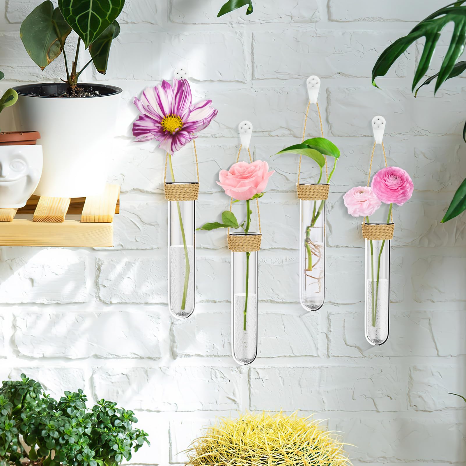 Vaso, provette per fiori, provette creative, vasi da parete da appendere con cordoncino di iuta e spazzola per la pulizia, piccolo vaso da parete per piante idroponiche, decorazione per la casa