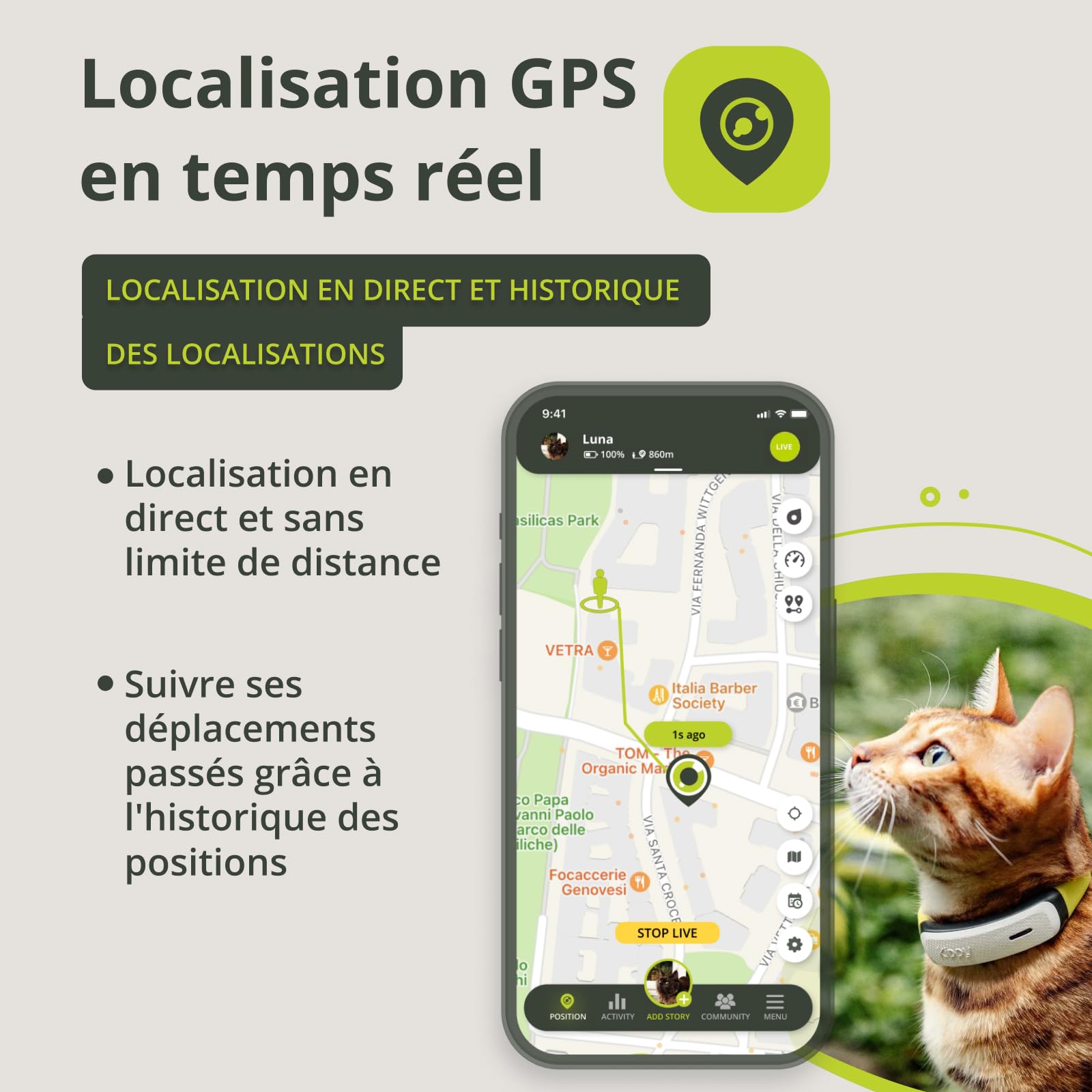 KIPPY - Collier GPS pour Chats Kippy Cat Color – Traceur GPS de Santé et d'Activité - Collier Chat GPS Anti-étranglement avec Alerte Instantanée - pour Chat avec Limites Virtuelles