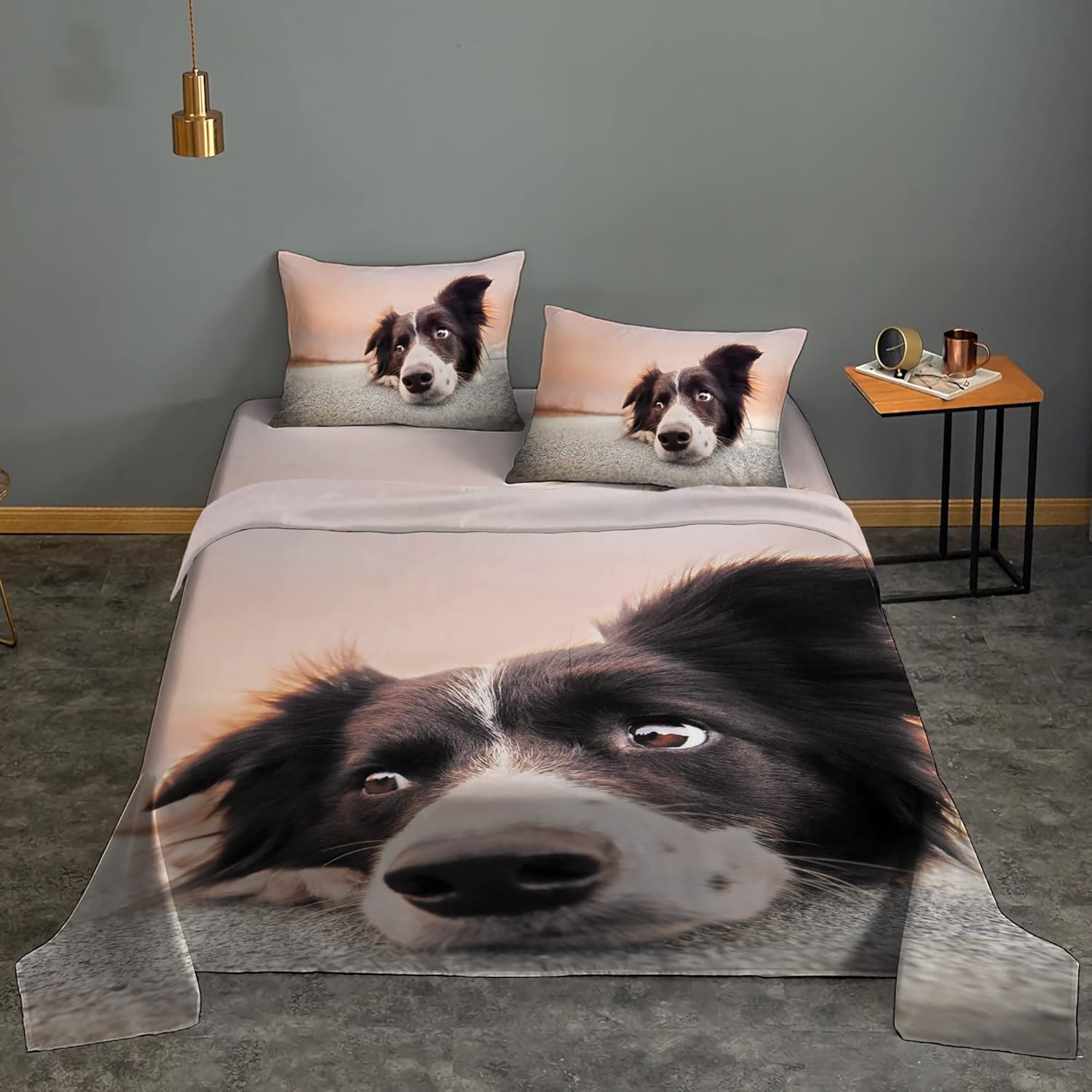 border collie bed size