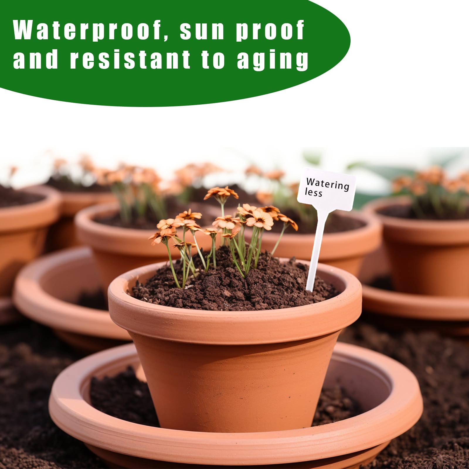 Sollbry 60 Etichette Per Piante Di Bamb&ugrave;, Marcatori Per Piantine Di