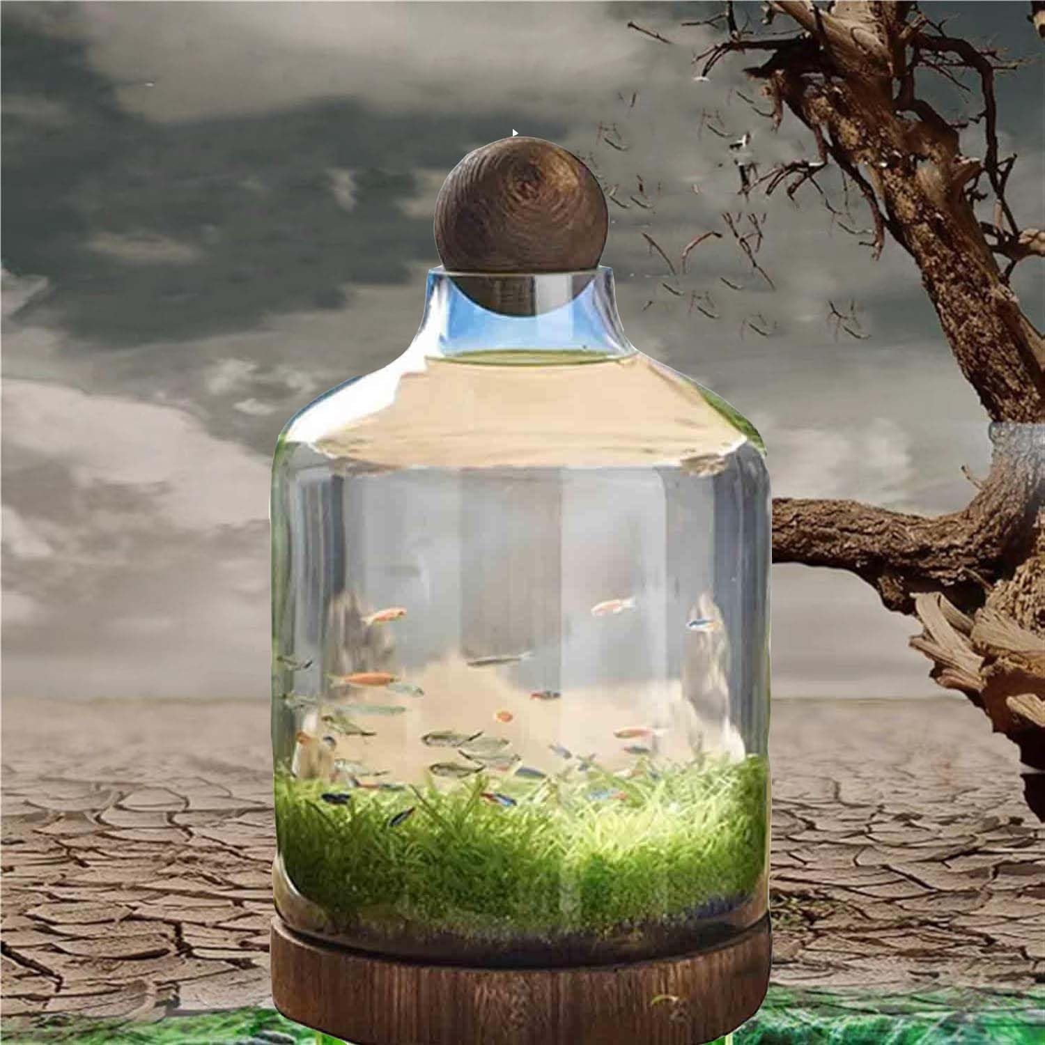 Ecological Fish Bottle Magical Glass Aquarium Micro Ecosphere Transparent Fish Tank Fish Bowel Ecological Teaching for Kids Students, D