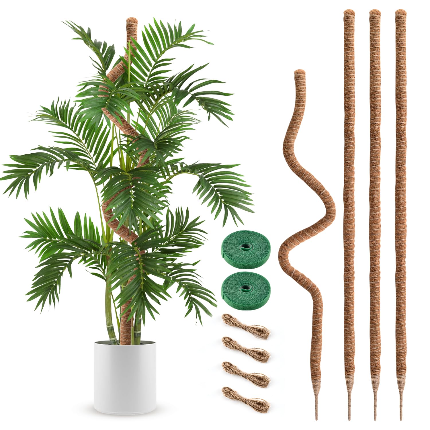 Monstera-Pflanzstäbe, Moosstangen, 160 cm, 4 Stück | Kletter-Innenbereich, groß, biegbar, handgefertigt, DIY-Form, nach oben wachsen