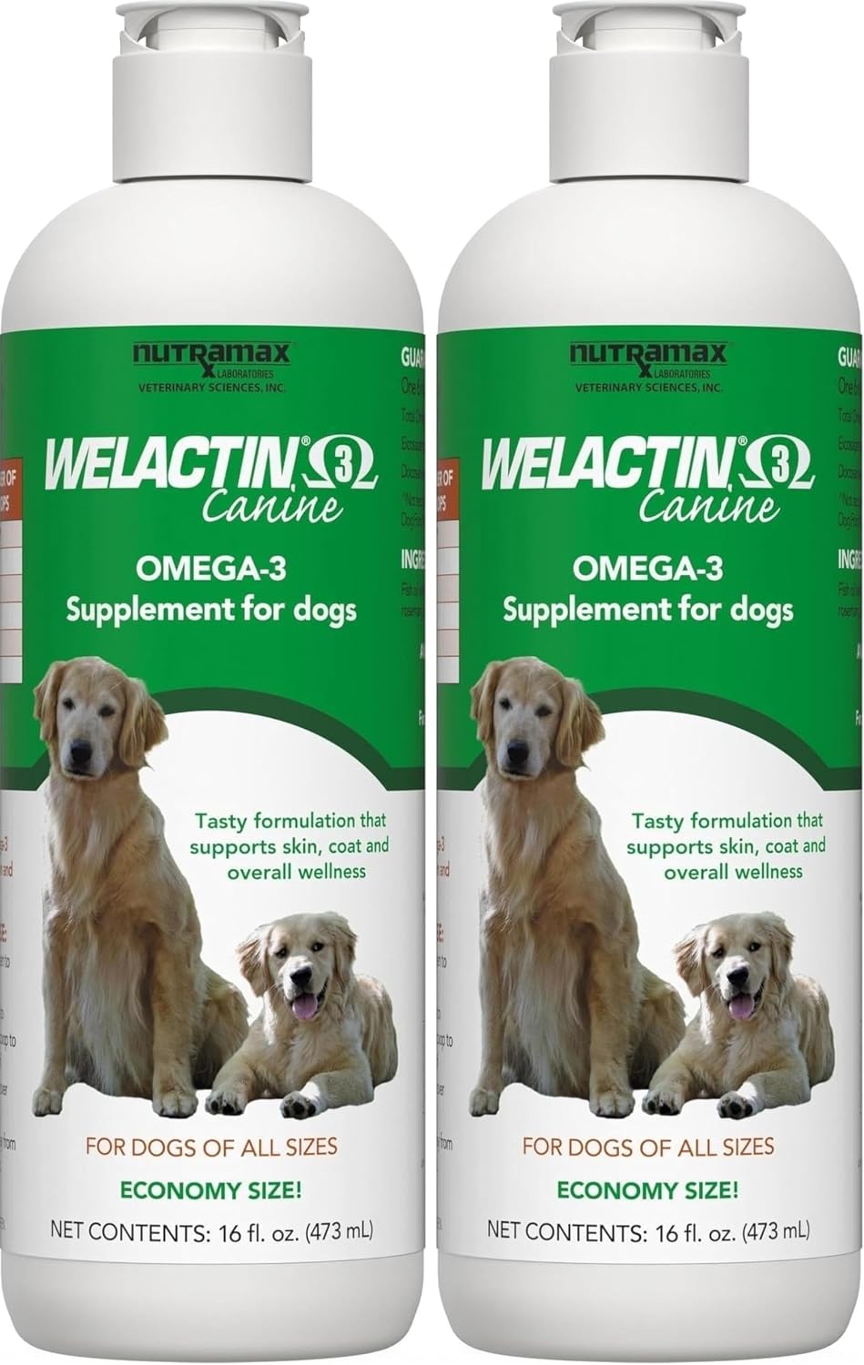 Nutramax Welactin Omega 3 Fish Oil for Dogs,Skin and Coat Health Supplement,Plus Joint,Immune,Kidney,and Brain Support,Premium Omega 3 Fatty Acids,for Dogs,16 Ounce Liquid,(Pack of 2)