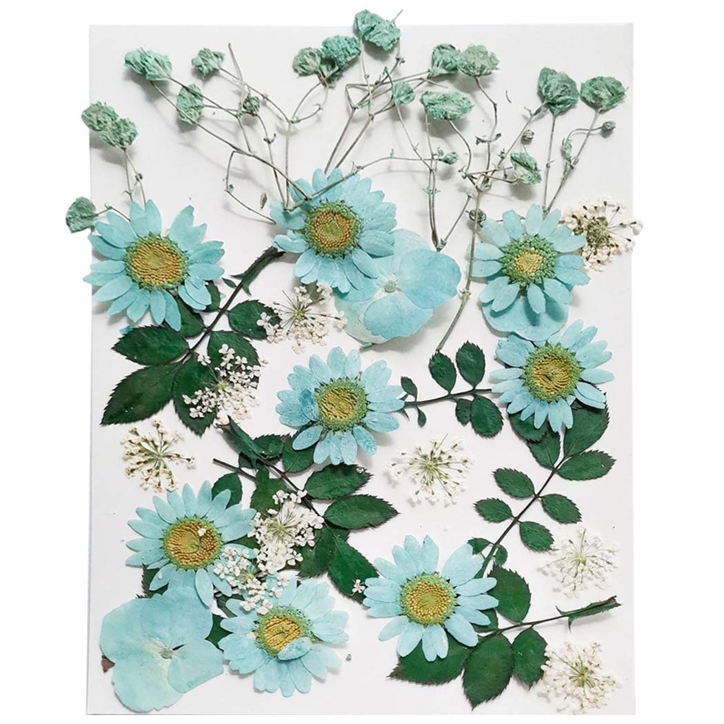 1 Pack Dried Flower Handmade Craft Flower Nail Art Flower for Phone Case DIY Pressed Flowers for DIY Nail Art Flowers Multicolor-image-36
