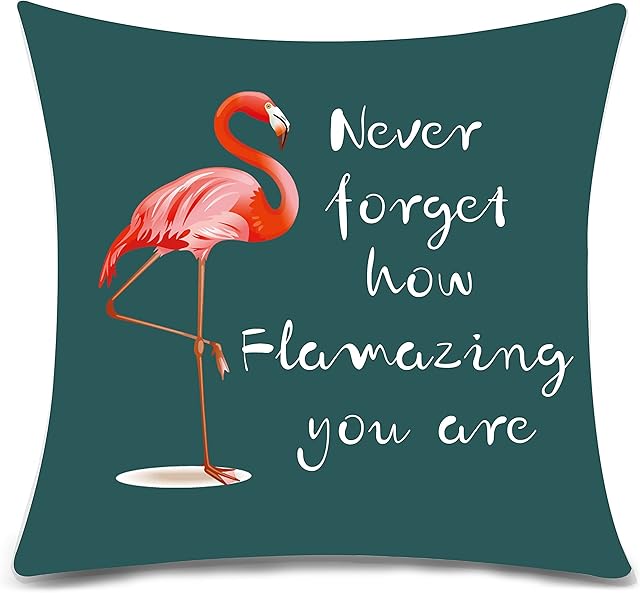 Bacmaxom Never Forget How Flamazing You Are Flamingo Cushion Cover Pillow Cover Encouragement Gift Inspirational Gifts for Mum Daughter Sister Friend Girlfriend Birthday Gift (blue-green), L (051-52)