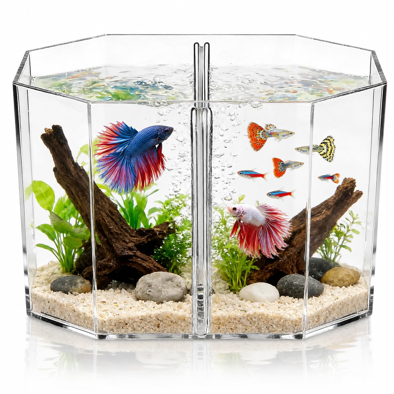 betta fish accessories amazon Totority Box Octagonal Tank Fish Bowl Small Containers Shrimp Tank Baby Cart Covers Turtle Tank Betta Fish Tank Fish Breeding Tank Betta Tank Acrylic Self-Cleaning : Pet Supplies 4 x 10 cm Agate Stripping Guide 10mm Umbrella Rigs - In-Fisherman Model - Color - Retrieve:AT101HPTA.BX2 - White - LH