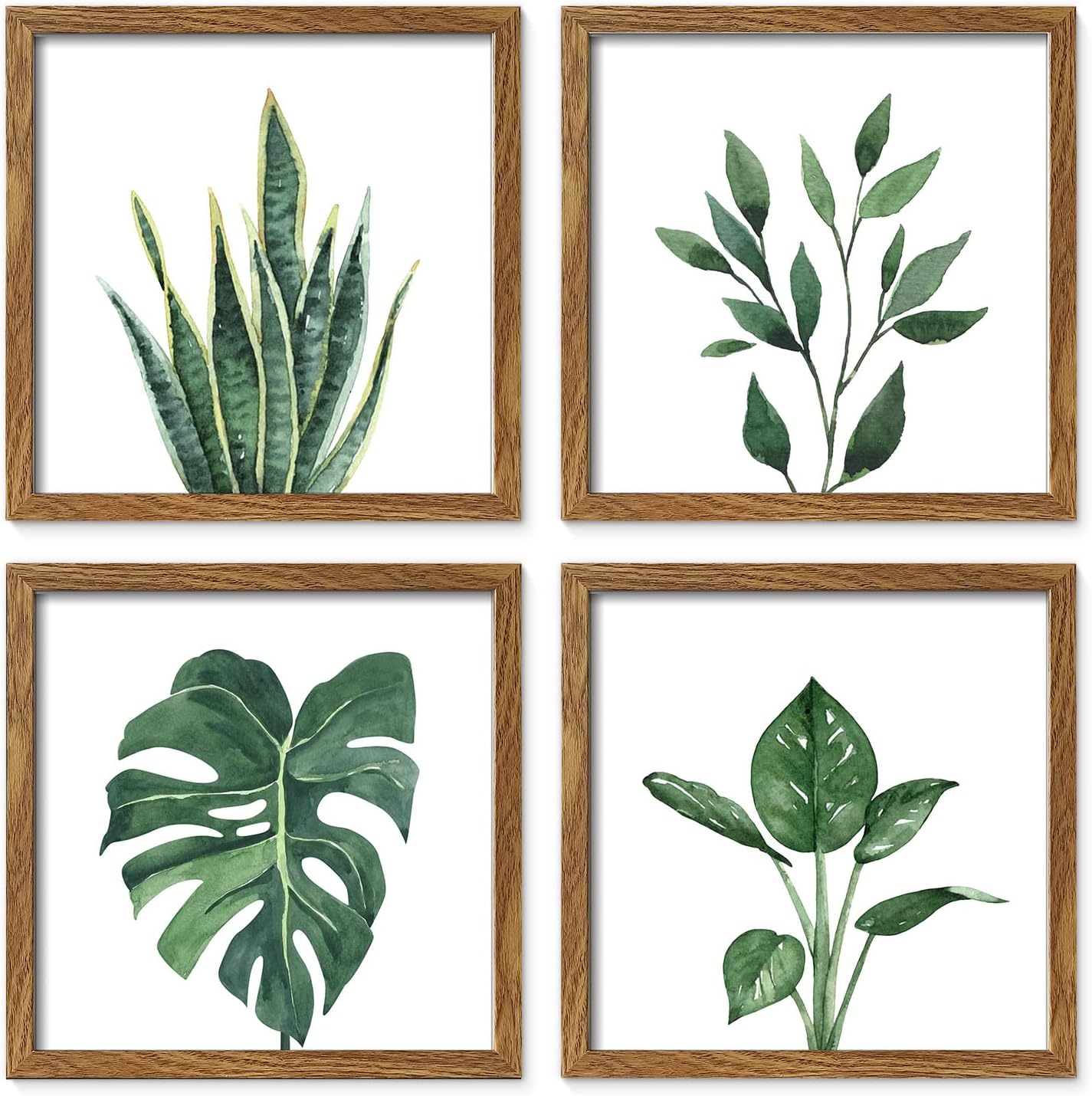 10" x 10" 4 Panels Framed Walnut Finish Picture Frame Collage Set for Wall Art Décor with Watercolor Green Leaf Tropical Botanical Plant Prints for Gallery Wall Kit or Home Decoration