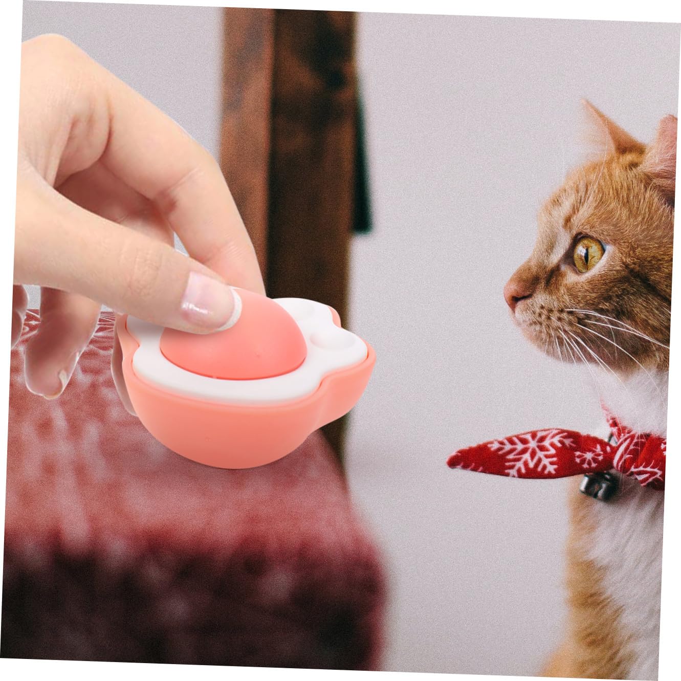 FRCOLOR 12 Katzenminze Spielzeug Katzenminze aufkleben interaktive Katze katzenspielzeug Interactive cat Toy Ballspielzeug für Katzen -Spielzeug Katzenminze Ballspielzeug essbar
