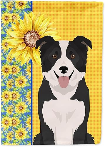 Caroline's Treasures WDK5329GF - Bandera de verano con diseño de girasoles para el jardín, borde collie, blanco y negro