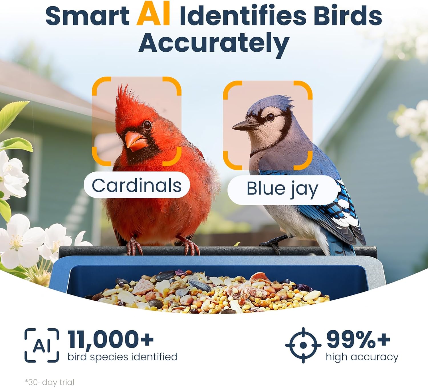 Smart Metal Bird Feeder with Camera, Light Blue image 4