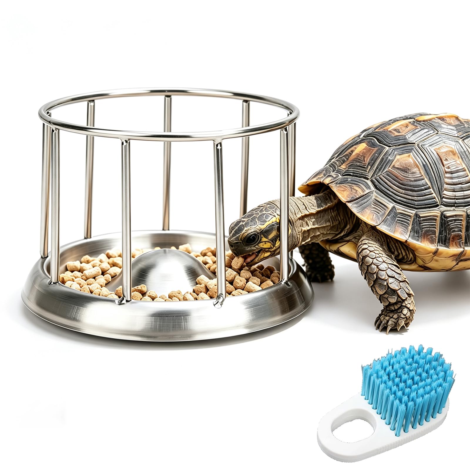 Mangeoire à tortues en acier inoxydable avec barrière anti-déversement et anti-dispersion, bol d'alimentation pour tortues aquatiques, tortues, dragons barbus, lézards (M)