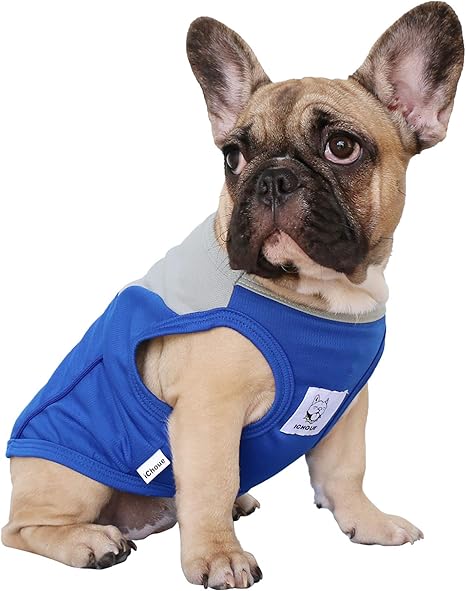 frenchie gear