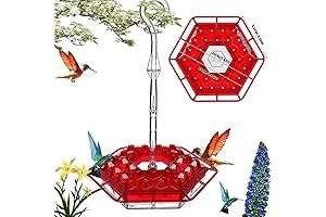 Shirem Hummingbird Feeder - the Bee-proof Outdoor Hummingbird Feeder