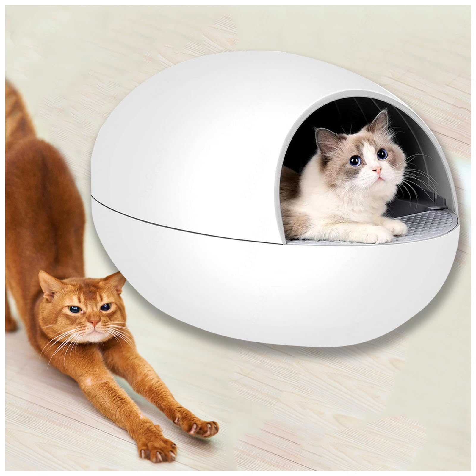 Petree Automatic SelfCleaning Litter Box Review (We Tried, 56 OFF