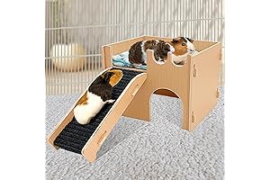 Guinea Pig Castle: Your Pet's Dream Hideaway
