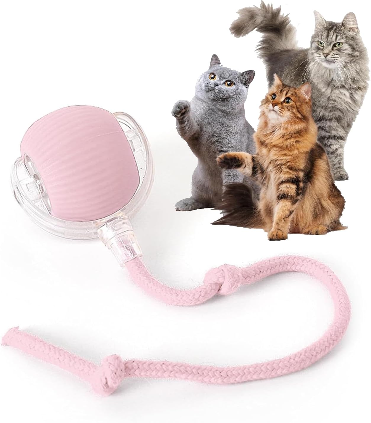 Rocfish Durable Interactive Cat Toys for Indoor Cats, Smart Automatic Cat Chase Ball Toy, Upgraded Speedy Tail Kitten Toy for Bored Indoor Adult Pets (Pink) Rocfish Durable Interactive Cat Toys for Indoor Cats, Smart Automatic Cat Chase Ball Toy, Upgraded Speedy Tail Kitten Toy for Bored Indoor Adult Pets (Pink)