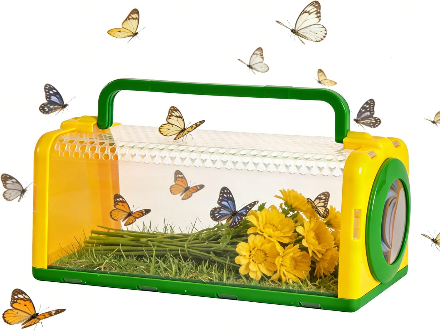 Kids Catching Kit: Enclosure, Butterfly Observation Box with Screen Top Including Magnifying Glass Clamp & Tweezers for Toddlers, Outside Explorer House image 4