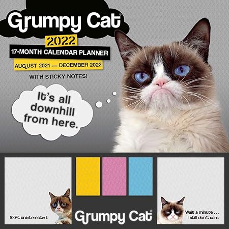 Grumpy Cat 2022 Calendar Amazon.com : Grumpy Cat 2022 Calendar Planner With Sticky Notes 17-Month:  August 2021 - December 2022 : Office Products