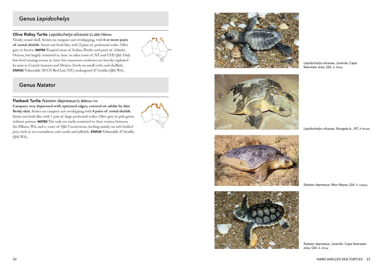 A Complete Guide to Reptiles of Australia: Volume 7
