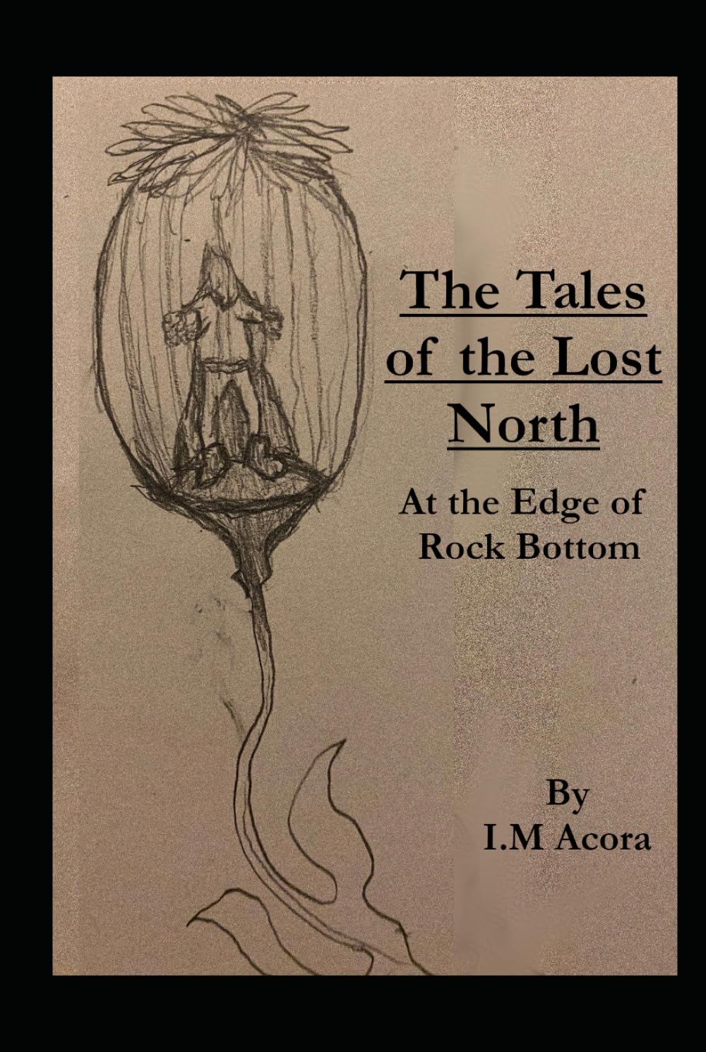 The Tales of the Lost North - At the Edge of Rock Bottom: A Grimdark Fantasy of Betrayal, Addiction, and Survival