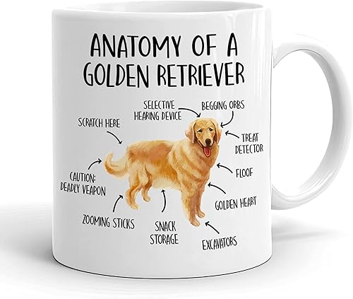 Miniatura 1 de KrysDesigns Anatomy Of A Golden Retriever - Taza de café con diseño de Golden Retriever Knowledge - Taza de café de cerámica de 11 onzas, color