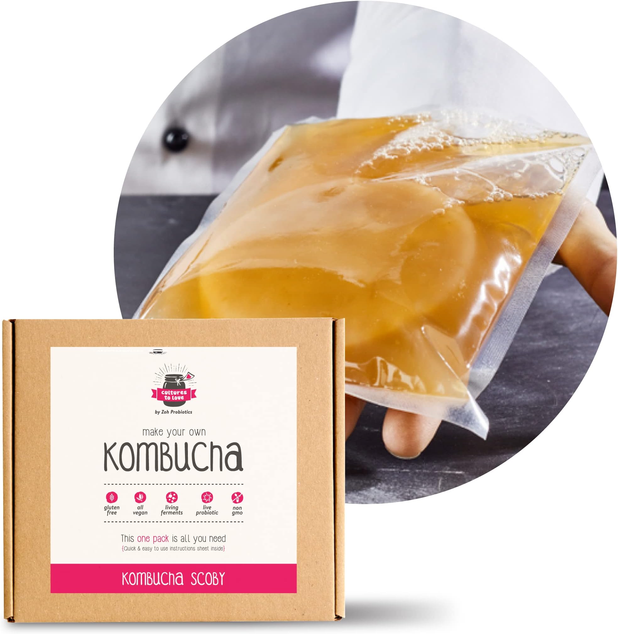 Zoh Probiotics Kombucha Scoby - Starter Culture With Mother - Live, Raw And Unfiltered - Diy Make Endless Batches- Lab Tested - No Vinegar Or Artificial Flavours Added