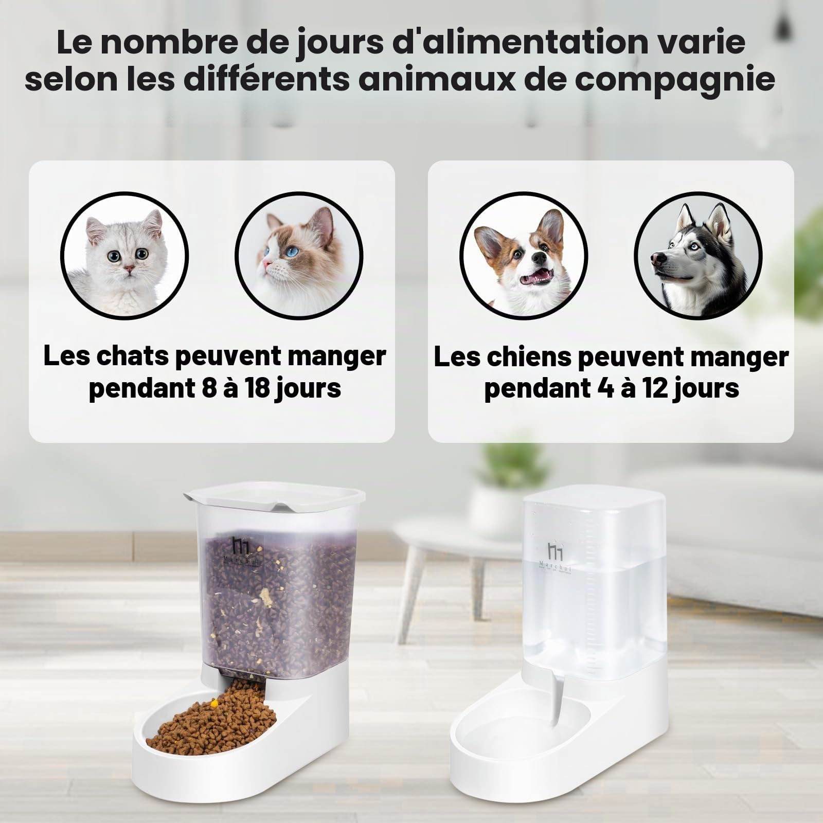 Marchul Abreuvoir et alimentateur Automatique pour Chats, Chiens, 3,8 L avec Distributeur d'eau et Distributeur Automatique pour Animaux