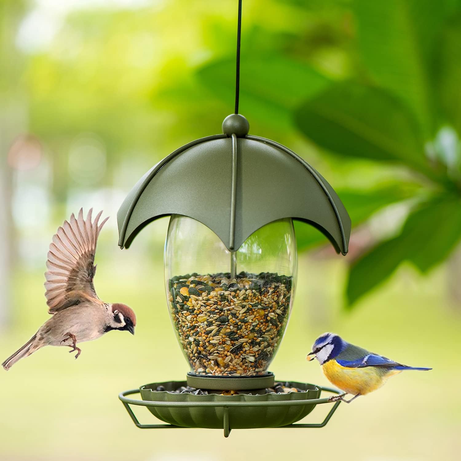 Birdream Bird Feeder Metal Bird Feeders for Outside Hanging with Parachute Shape Roof Glass Container to Attract More Wild Birds for Garden Yard Decoration : Patio, Lawn & Garden