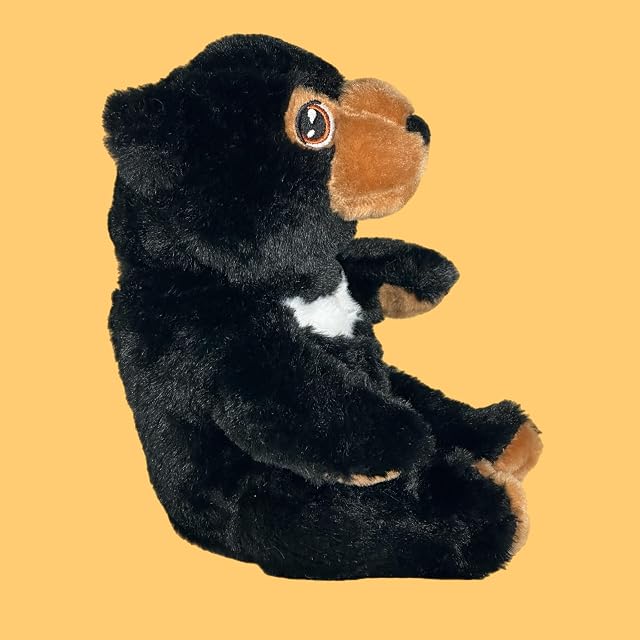 Foto 3 de 7 de Deluxe Paws Peluches 100% Reciclados y Ecológicos (Oso Negro)