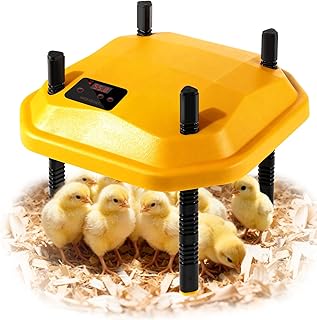 10 * 10inch Chick Brooder Heater Plate with Temperature Adjustable and Display,Adjustable Height & Angle Brooder Box for Baby Chicks Quail Duckling Chicken Heat Warmer Lamp Poultry Habitat Supplies