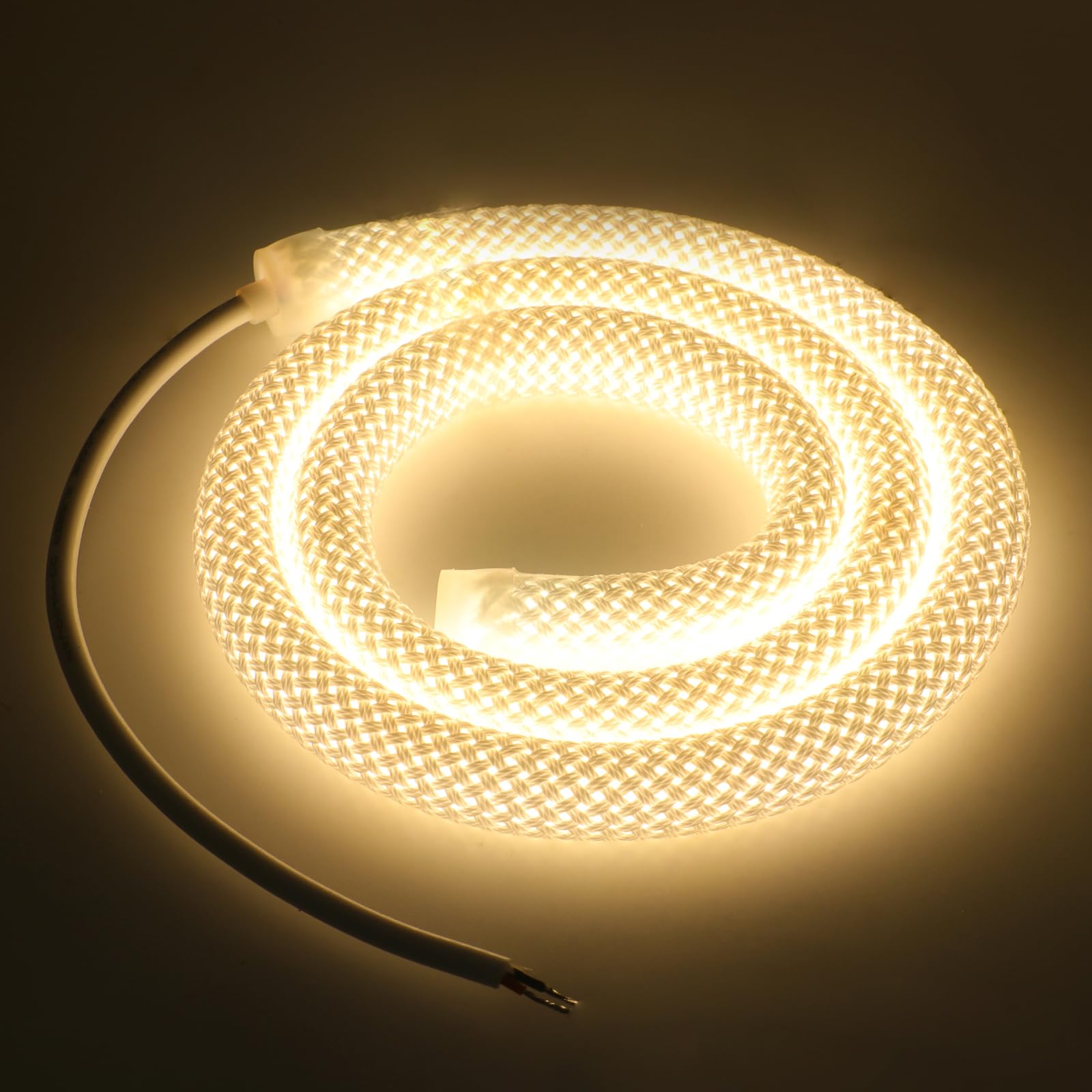 KISUFU 24V Neon Rope Strip, 2835 360 degrees Circular mesh IP67 Waterproof Flexible Neon LED Strip with 24V 60W iron shell power supply AC176-264V for DIY Home Bedroom Indoor Outdoor Decoration.