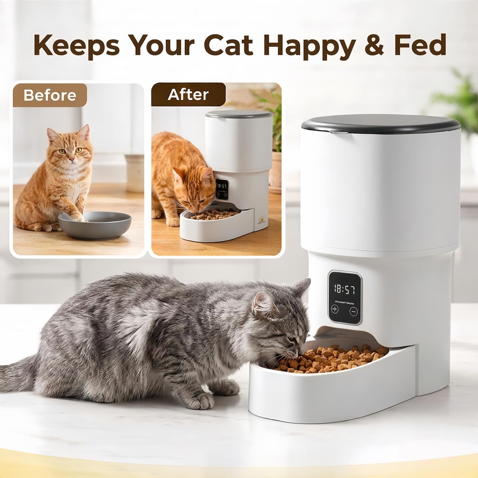 Comedero automático para Mascotas de 4 L: dispensador programable de Comida para Gatos y Perros con Control de porciones, alimentación Dual y Tapa con Cierre de Seguridad.
