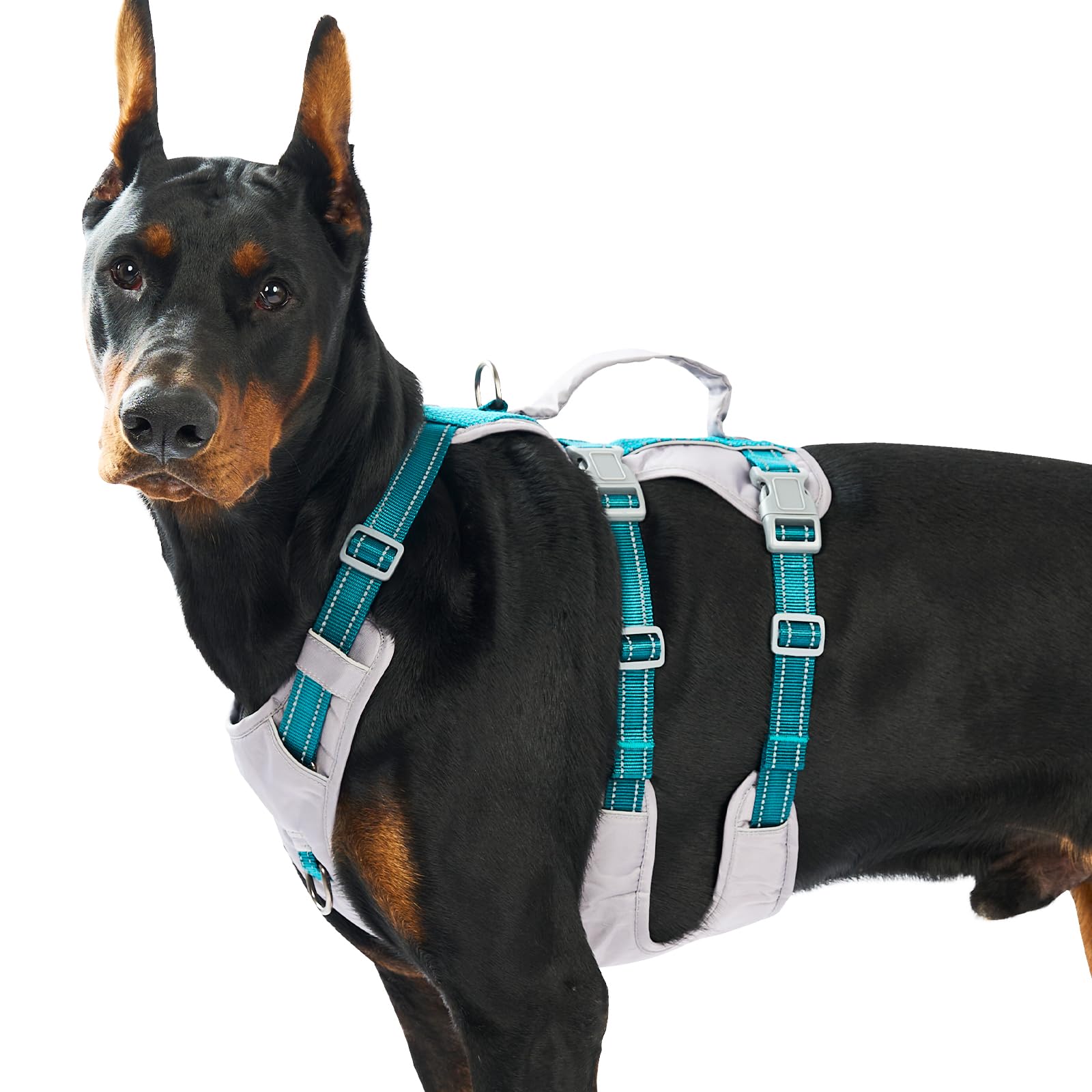 Huntboo Sicherheitsgeschirr Hund Ausbruchsicher, Panikgeschirr für Hunde, Reflektierendes Geschirr Hund mit Griff, Verstellbare Hundegeschirr für kleine, mittelgroße und große Hunde (Blaugrün,XL)