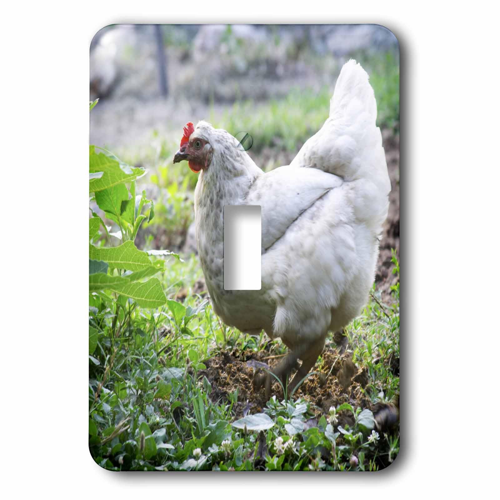 Panier de jardin Per Karlsson lsp_82933_1 pour embellir les murs ternes