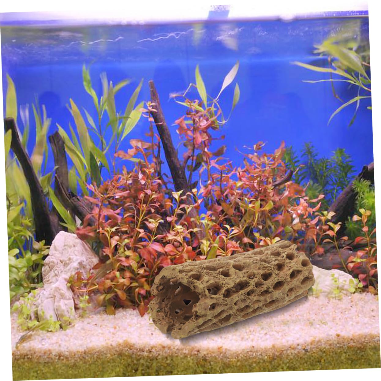 2 Stück Resin Garnelenversteck Aquarium Deko Kleines Fischversteck Naturgetreu Robust für Süßwasser und Meerwasser Aquarien Zubehör