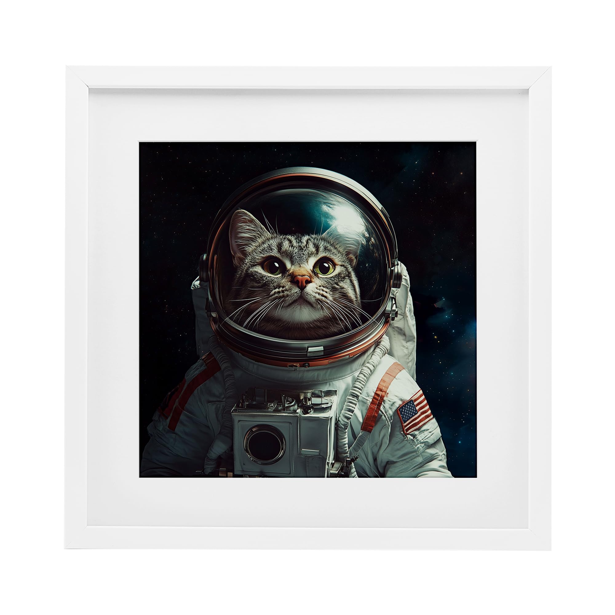 Catstronaute impression encadrée chat astronaute gris Jim Baldwin 33x33 cm