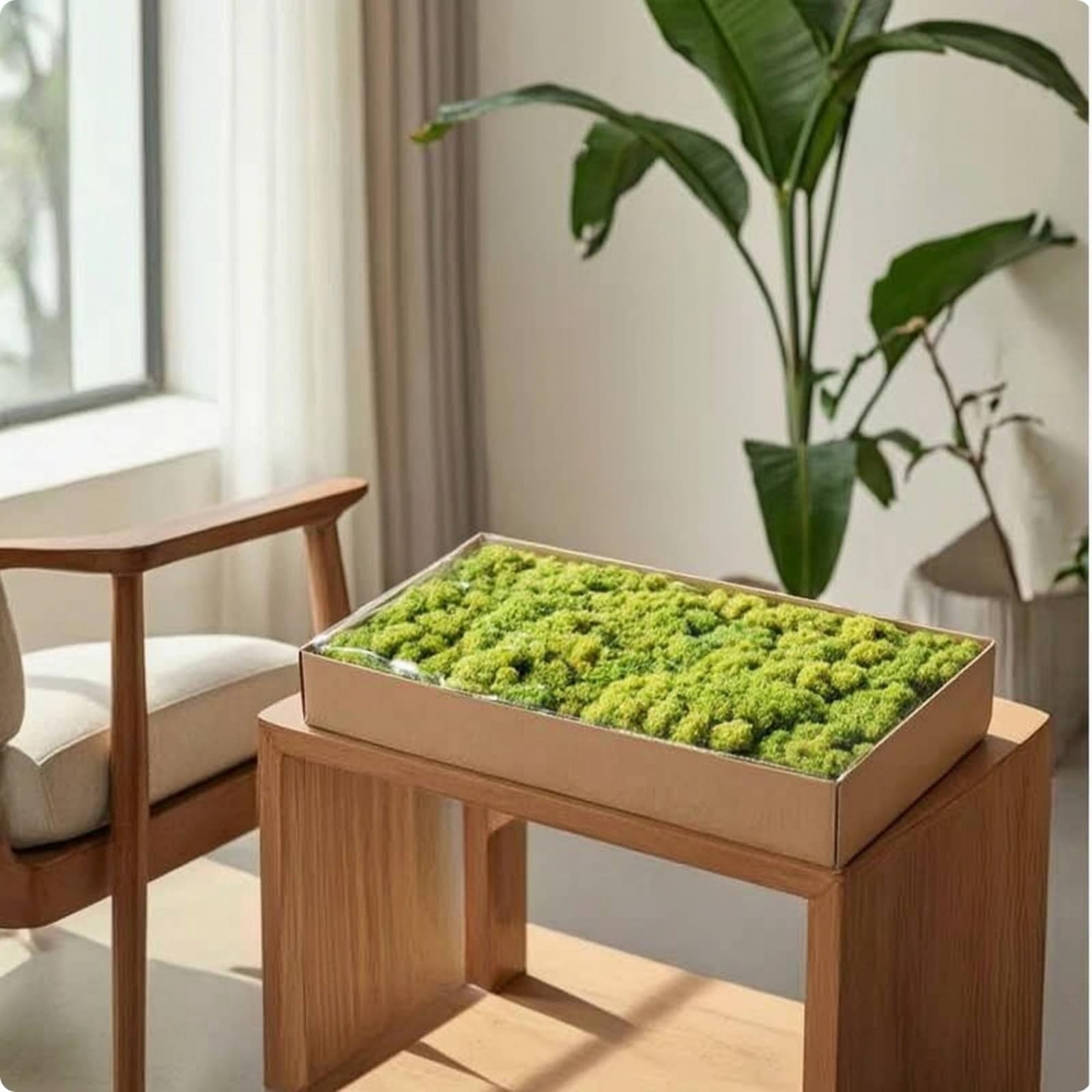 Muschio Stabilizzato Senza Manutenzione Muschio Decorativo Flessibile Piante per Composizioni Floreali, Verde Tenero 5