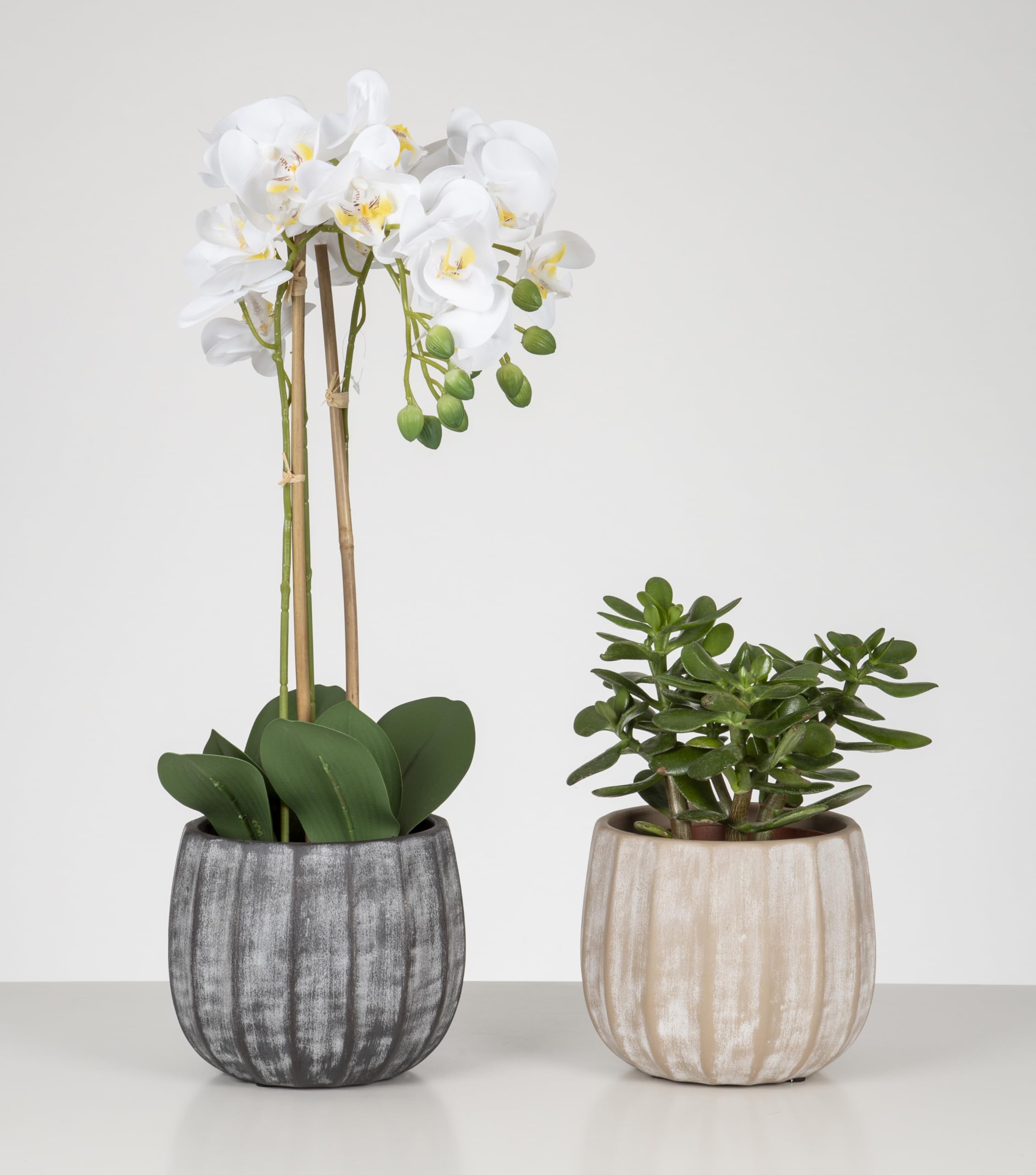 Scheurich Runa - Pot de fleurs en céramique, couleur crème délavée, 22,57 cm de diamètre, 19,5 cm de haut, 13 l de vol.