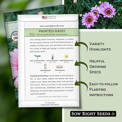 Miniatura 2 de Sow Right Seeds - Semillas de margaritas pintadas para plantar - Paquete de semillas de reliquia sin OMG con instrucciones (idioma español no