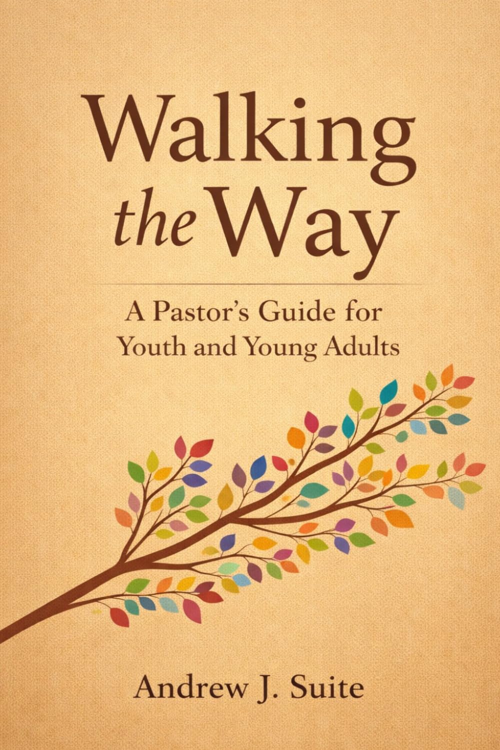 Walking the Way: A Pastor’s Guide for Youth and Young Adults: A United Methodist Pastoral Companion for Youth and Young Adults: Faith, Identity, Doubt, Calling, Following Jesus in a Distracting World